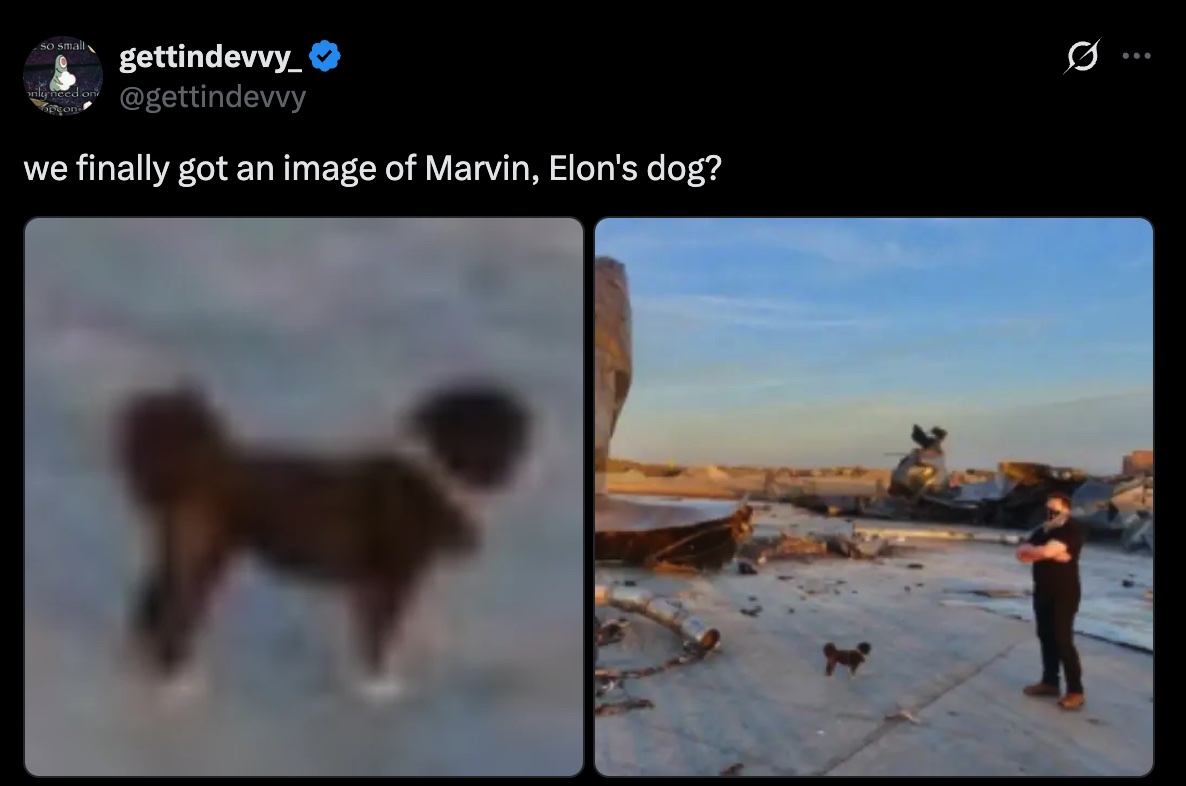 推文截图：we finally got an image of Marvin, Elon's dog?