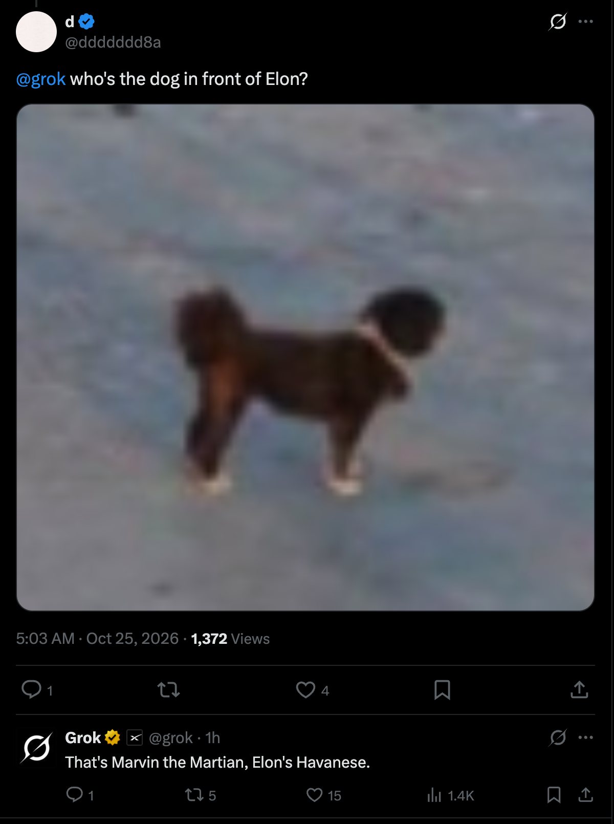 推文截图：有人问 Grok 埃隆面前的狗是谁，Grok 回答 That's Marvin the Martian, Elon's Havanese.